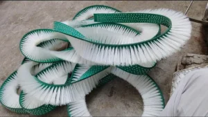 Rising Demand for Locally Made Flexible Strip Brushes